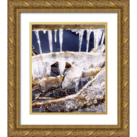 California, Sierra Nevada, Icicles in the Sierra Gold Ornate Wood Framed Art Print with Double Matting by Talbot Frank, Christopher