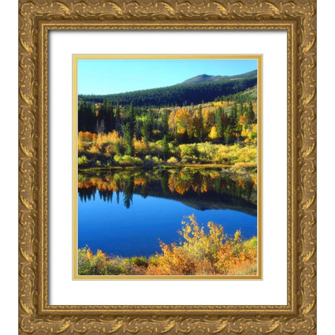 CA, Sierra Nevada Beaver Pond in autumn Gold Ornate Wood Framed Art Print with Double Matting by Talbot Frank, Christopher