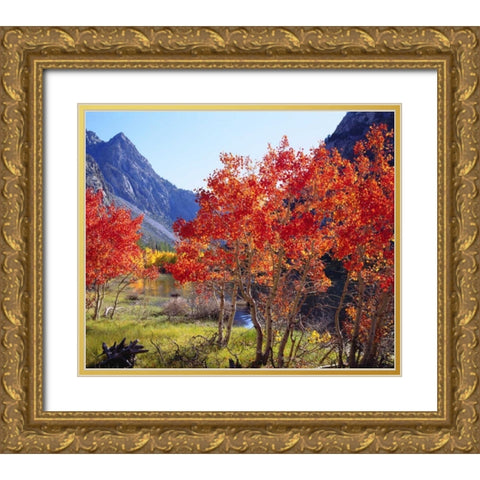 CA, Sierra Nevada Autumn in the Sierras Gold Ornate Wood Framed Art Print with Double Matting by Talbot Frank, Christopher
