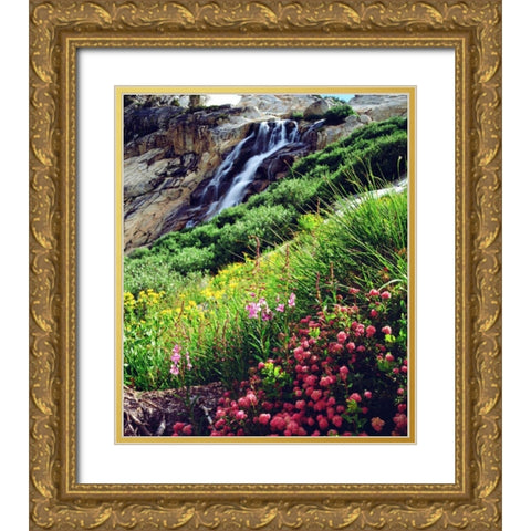 California, Sierra Nevada flowers in the Sierras Gold Ornate Wood Framed Art Print with Double Matting by Talbot Frank, Christopher