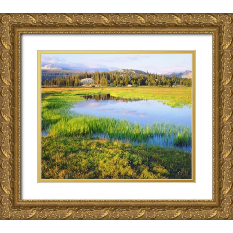 CA, Yosemite The Tuolumne River in the Meadow Gold Ornate Wood Framed Art Print with Double Matting by Talbot Frank, Christopher