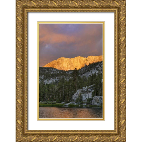 USA, California Marsh Lake at sunrise Gold Ornate Wood Framed Art Print with Double Matting by Flaherty, Dennis