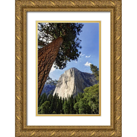 California, Yosemite View of El Capitan landmark Gold Ornate Wood Framed Art Print with Double Matting by Flaherty, Dennis