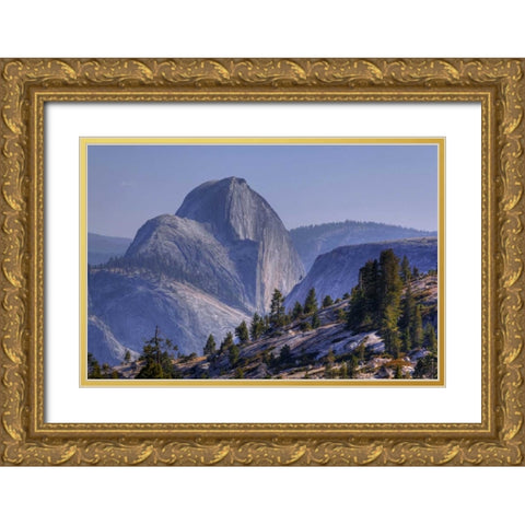 CA, Yosemite Half Dome seen from Olmsted Point Gold Ornate Wood Framed Art Print with Double Matting by Flaherty, Dennis