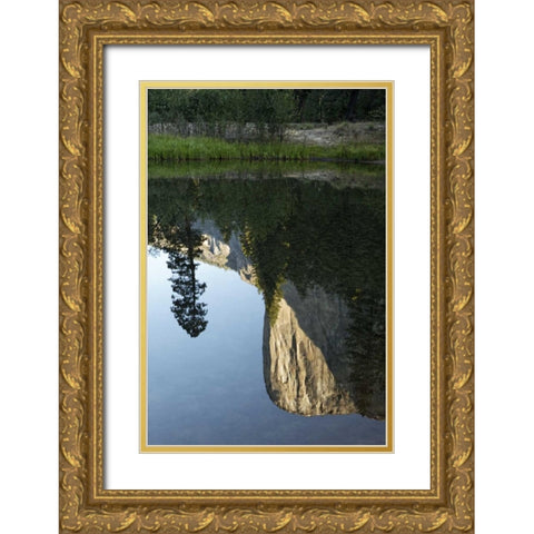 California, Yosemite El Capitan and Merced River Gold Ornate Wood Framed Art Print with Double Matting by Flaherty, Dennis