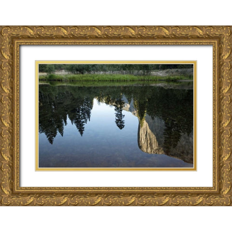 California, Yosemite El Capitan and Merced River Gold Ornate Wood Framed Art Print with Double Matting by Flaherty, Dennis