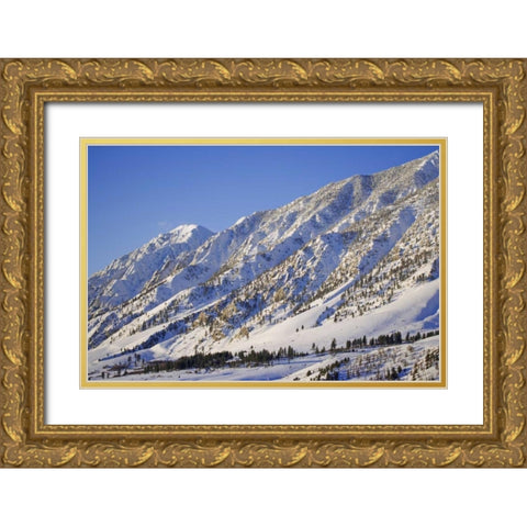 CA, Wheeler Crest in the Sierra Nevada Gold Ornate Wood Framed Art Print with Double Matting by Flaherty, Dennis