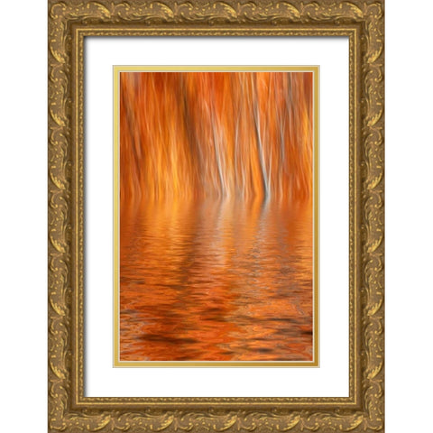 CA, Grant Lake Abstract of autumn aspen trees Gold Ornate Wood Framed Art Print with Double Matting by Flaherty, Dennis