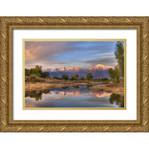 California, Bishop Sierra Mts from Farmers Pond Gold Ornate Wood Framed Art Print with Double Matting by Flaherty, Dennis