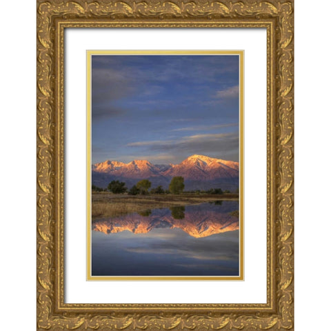 California, Bishop Sierra Mts from Farmers Pond Gold Ornate Wood Framed Art Print with Double Matting by Flaherty, Dennis