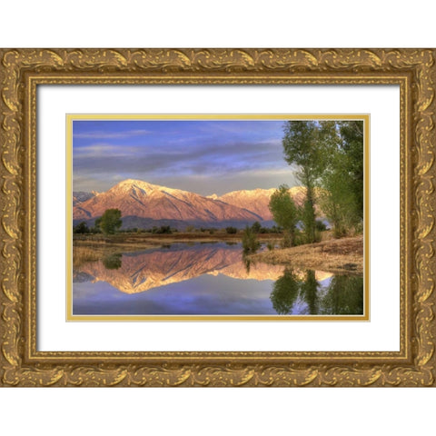 CA, Bishop Reflection of Mt Tom in Farmers Pond Gold Ornate Wood Framed Art Print with Double Matting by Flaherty, Dennis