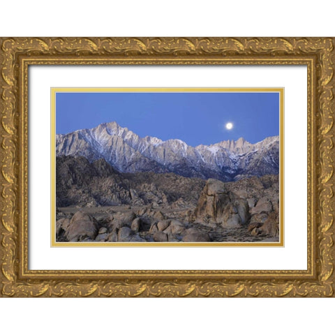 CA, Moonset on Lone Pine Peak and Mt Whitney Gold Ornate Wood Framed Art Print with Double Matting by Flaherty, Dennis