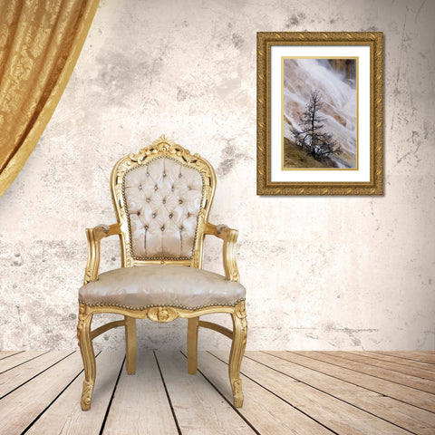 Wyoming Mammoth Hot Springs waterfall Gold Ornate Wood Framed Art Print with Double Matting by Bush, Marie