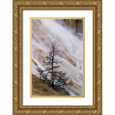 Wyoming Mammoth Hot Springs waterfall Gold Ornate Wood Framed Art Print with Double Matting by Bush, Marie