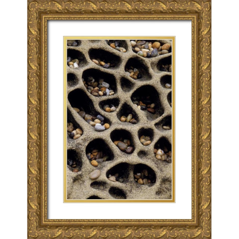 California Pebbles collected in rock cavities Gold Ornate Wood Framed Art Print with Double Matting by Bush, Marie