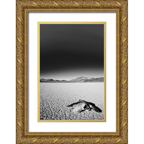 California, Death Valley NP Weathered cow skull Gold Ornate Wood Framed Art Print with Double Matting by Flaherty, Dennis