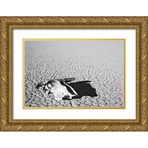 California, Death Valley NP Weathered cow skull Gold Ornate Wood Framed Art Print with Double Matting by Flaherty, Dennis