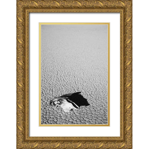 California, Death Valley NP Weathered cow skull Gold Ornate Wood Framed Art Print with Double Matting by Flaherty, Dennis