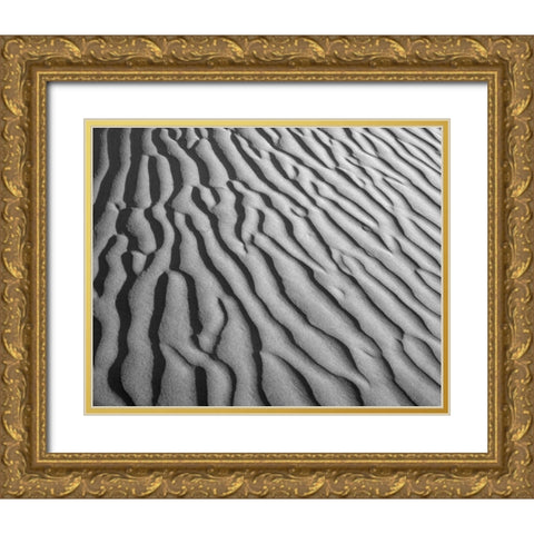 California, Death Valley NP Sand dune patterns Gold Ornate Wood Framed Art Print with Double Matting by Flaherty, Dennis