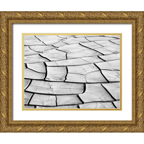 California, Death Valley Patterns in dried mud Gold Ornate Wood Framed Art Print with Double Matting by Flaherty, Dennis