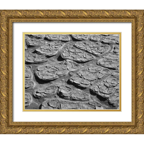 CA, Death Valley Cracked mud of the playa floor Gold Ornate Wood Framed Art Print with Double Matting by Flaherty, Dennis