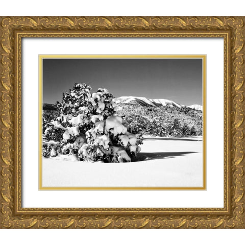 CA, Sierra Nevada Morning on winter landscape Gold Ornate Wood Framed Art Print with Double Matting by Flaherty, Dennis