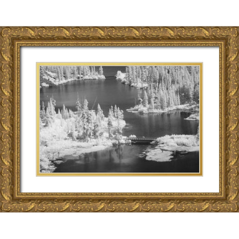 CA, Mammoth Lakes Basin Aerial of Twin Lakes Gold Ornate Wood Framed Art Print with Double Matting by Flaherty, Dennis