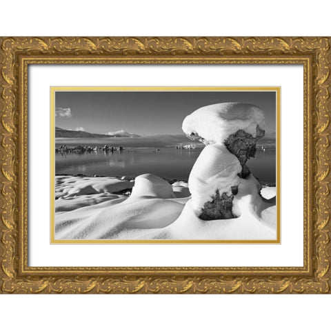 USA, California, Mono Lake Snow-covered tufa Gold Ornate Wood Framed Art Print with Double Matting by Flaherty, Dennis