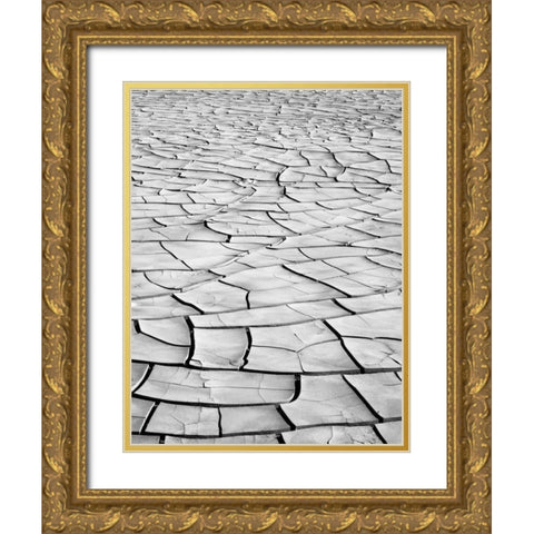 California, Death Valley Patterns in dried mud Gold Ornate Wood Framed Art Print with Double Matting by Flaherty, Dennis