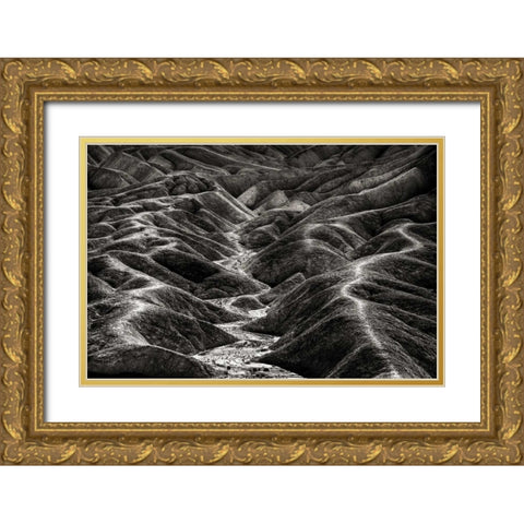 CA, Death Valley Overview of desolate landscape Gold Ornate Wood Framed Art Print with Double Matting by Young, Bill