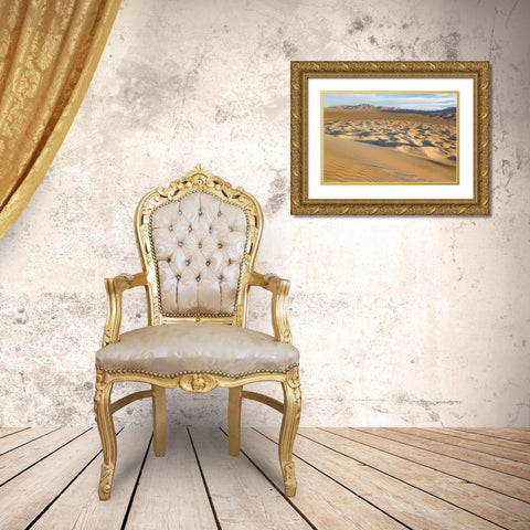 CA, Mohave National Preserve Kelso Dunes Gold Ornate Wood Framed Art Print with Double Matting by Paulson, Don
