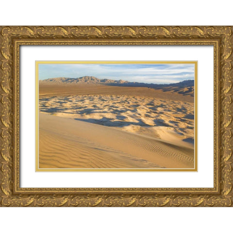 CA, Mohave National Preserve Kelso Dunes Gold Ornate Wood Framed Art Print with Double Matting by Paulson, Don