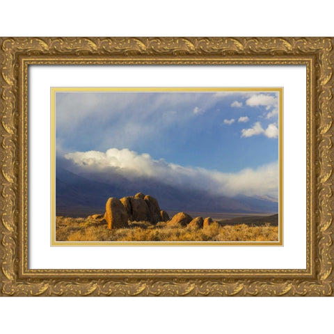CA, Alabama Hills Mountain and desert landscape Gold Ornate Wood Framed Art Print with Double Matting by Paulson, Don
