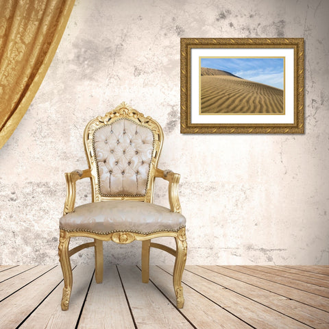 CA, Mohave National Preserve Rippled sand dunes Gold Ornate Wood Framed Art Print with Double Matting by Paulson, Don