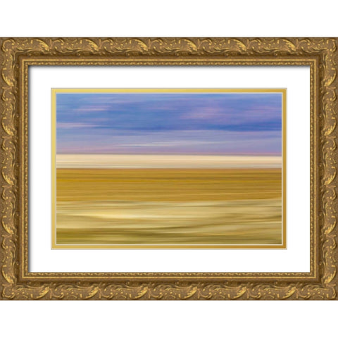CA, Trona Pinnacles Blurred abstract of desert Gold Ornate Wood Framed Art Print with Double Matting by Paulson, Don