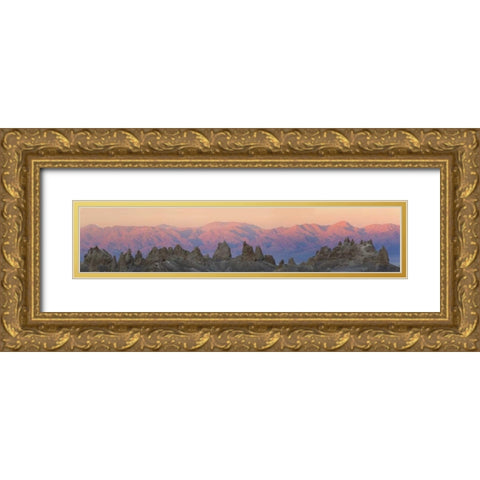 California Panoramic of Trona Pinnacles Gold Ornate Wood Framed Art Print with Double Matting by Paulson, Don