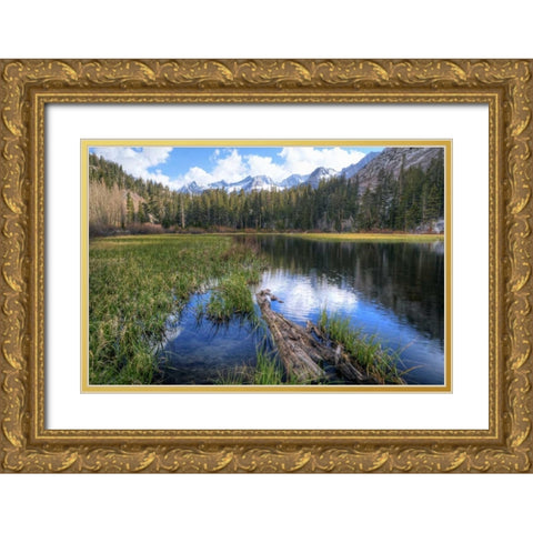 California, Sierra Nevada Weir Pond landscape Gold Ornate Wood Framed Art Print with Double Matting by Flaherty, Dennis