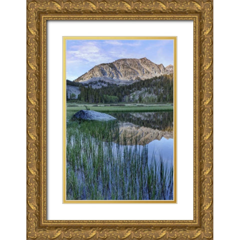 California, Sierra Nevada Grass Lake reflection Gold Ornate Wood Framed Art Print with Double Matting by Flaherty, Dennis