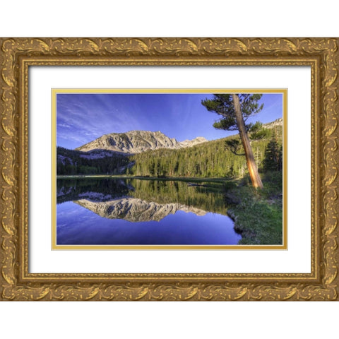 California, Sierra Nevada Grass Lake reflection Gold Ornate Wood Framed Art Print with Double Matting by Flaherty, Dennis