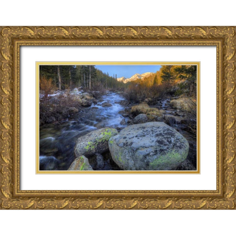 California, Sierra Nevada Rock Creek landscape Gold Ornate Wood Framed Art Print with Double Matting by Flaherty, Dennis