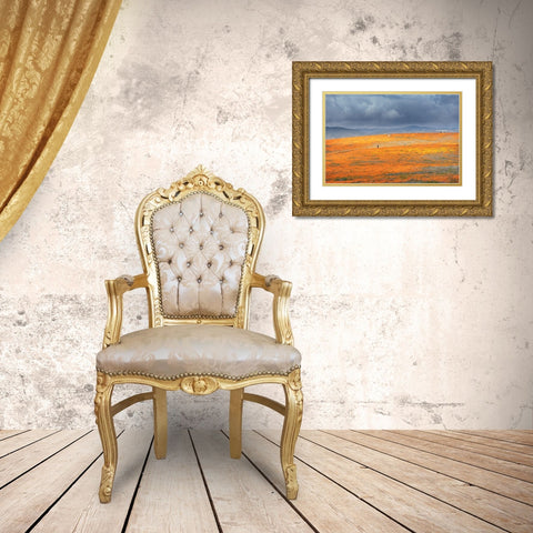 California-Mojave Desert California poppy super bloom  Gold Ornate Wood Framed Art Print with Double Matting by Jaynes Gallery