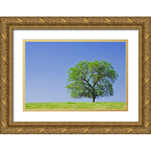 California Abstract of lone blue oak tree Gold Ornate Wood Framed Art Print with Double Matting by Jaynes Gallery