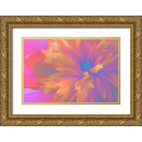 California Abstract of blooming peony flower Gold Ornate Wood Framed Art Print with Double Matting by Jaynes Gallery