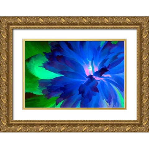 California Abstract of blooming peony flower Gold Ornate Wood Framed Art Print with Double Matting by Jaynes Gallery