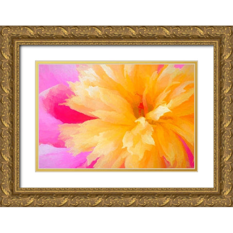 California Abstract of blooming peony flower Gold Ornate Wood Framed Art Print with Double Matting by Jaynes Gallery