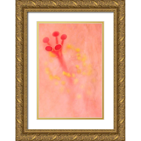 California Detail of hibiscus flower Gold Ornate Wood Framed Art Print with Double Matting by Jaynes Gallery