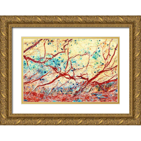 California Detail of marble rock patterns Gold Ornate Wood Framed Art Print with Double Matting by Jaynes Gallery
