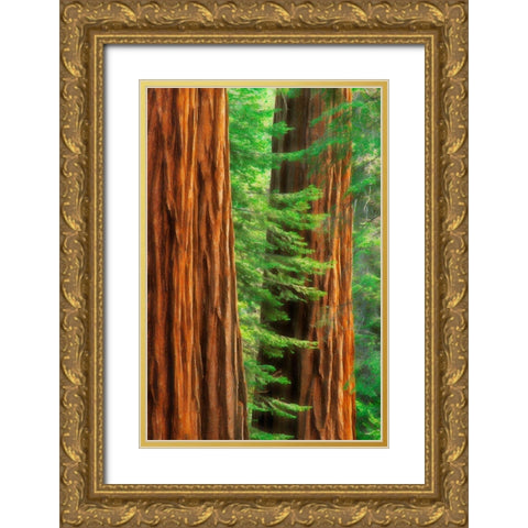 California-Yosemite National Park Abstract of sequoia tress in Mariposa Grove Gold Ornate Wood Framed Art Print with Double Matting by Jaynes Gallery