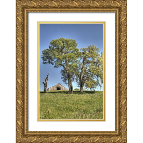 Usa-California Peaceful rural setting near Folsom Suburban sprawl is only a few miles away Gold Ornate Wood Framed Art Print with Double Matting by Sederquist, Betty
