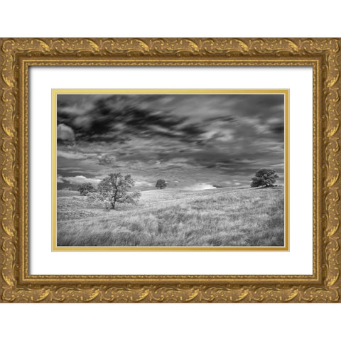 Infrared image of clouds-grasslands and oak trees in Amador County Gold Ornate Wood Framed Art Print with Double Matting by Sederquist, Betty